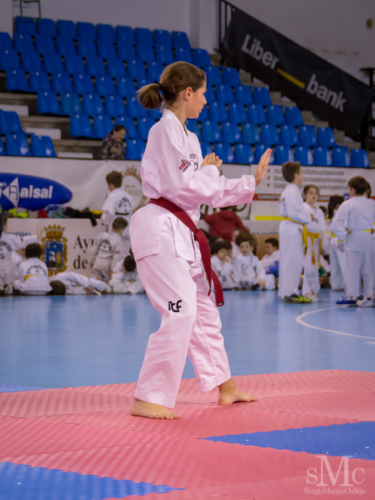 TAEKWONDO CAMPEONATO PAREJAS ABRIL 2018_1990.jpg